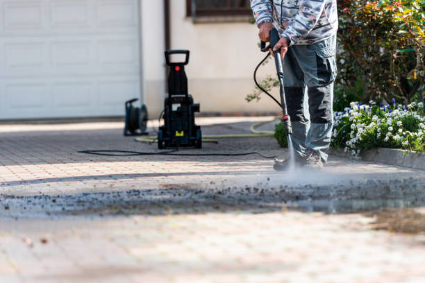 Best Power Washing Near Me  in Town Line, NY